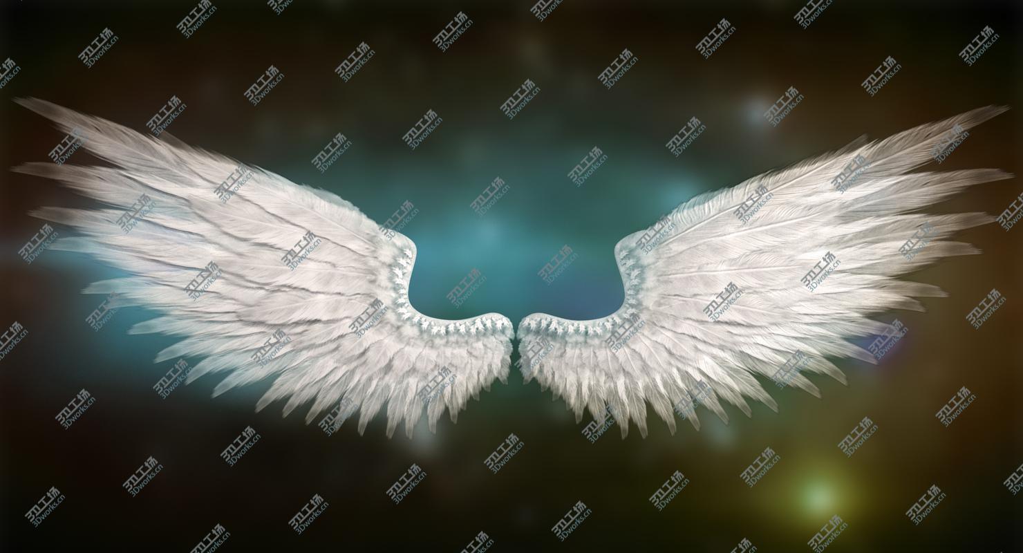 images/goods_img/202105072/3D Angel Wings/2.jpg